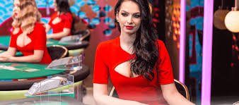 Antarmuka permainan kartu di platform tiara toto
